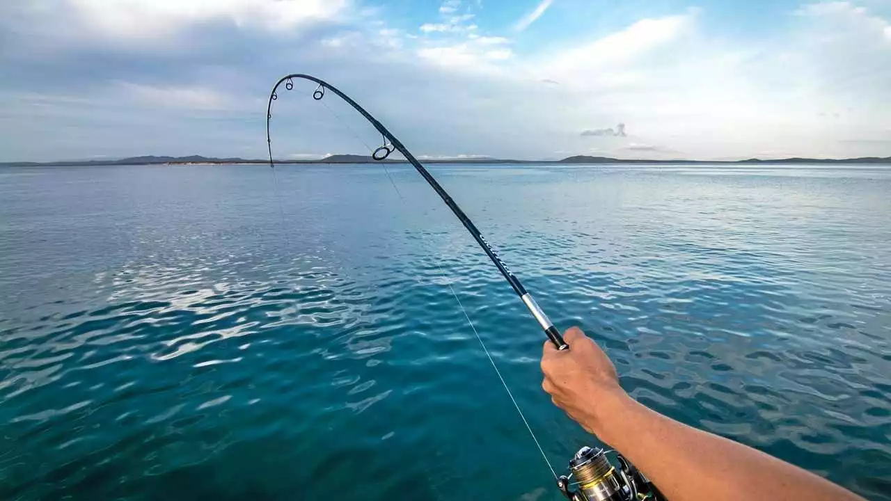 Fluefiske Salgsbutikk -Fluefiske Salgsbutikk 23423rr