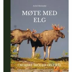 Møte Med Elg