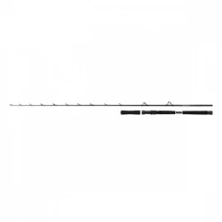 Shimano Beastmaster BX Boat Slim 2,29m 20-30lb 2 Pc